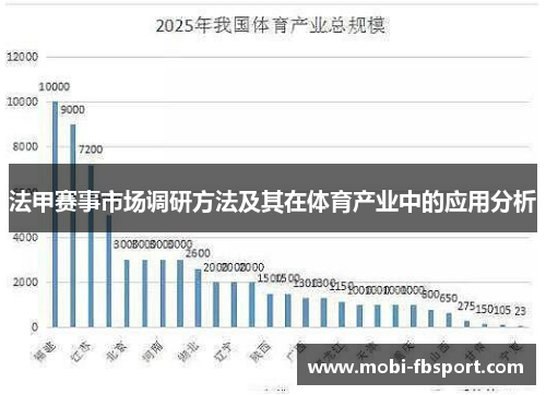 法甲赛事市场调研方法及其在体育产业中的应用分析