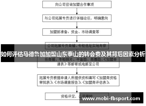 如何评估马德鲁加加盟山东泰山的转会费及其背后因素分析