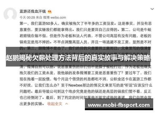 赵鹏揭秘欠薪处理方法背后的真实故事与解决策略