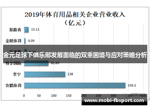 金元足球下俱乐部发展面临的双重困境与应对策略分析